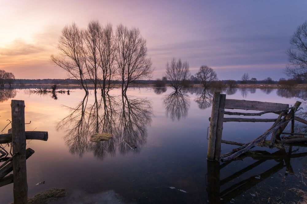 Photograph by Александр Кыров