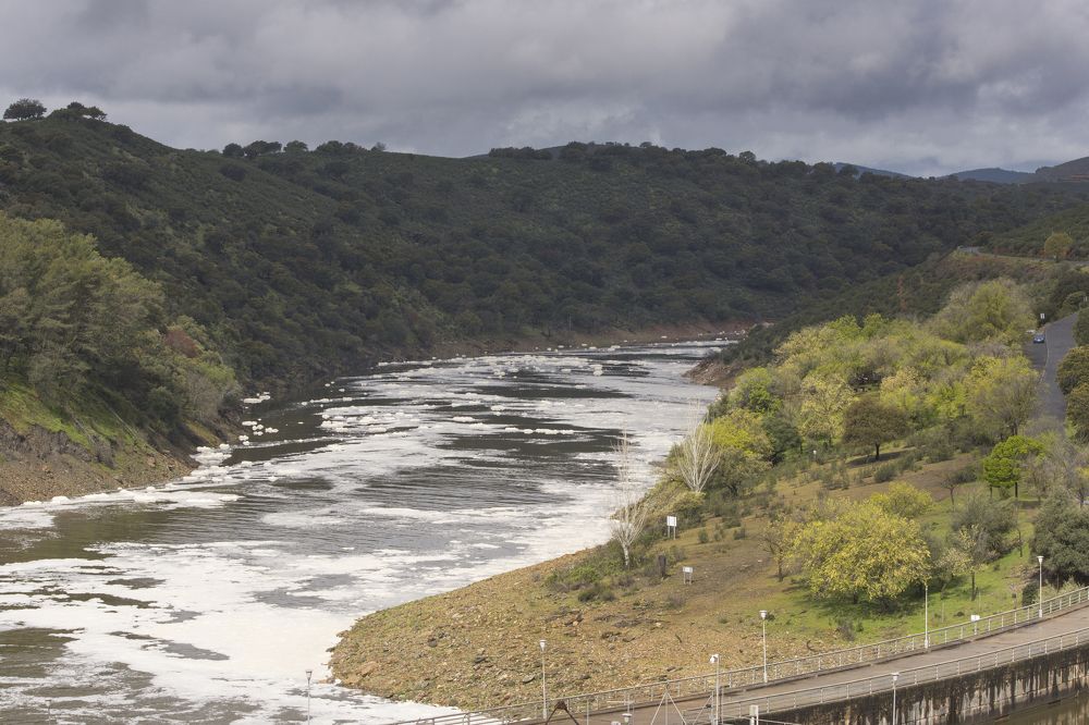 Photograph by Ernestas Balcikonis