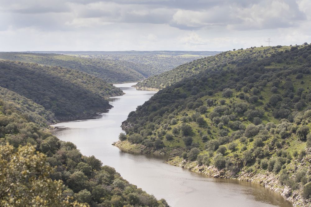 Photograph by Ernestas Balcikonis