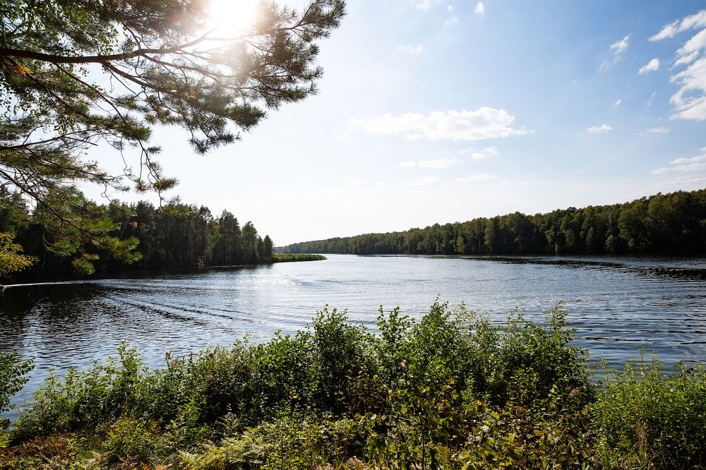 Фотография автора Сергей Катков