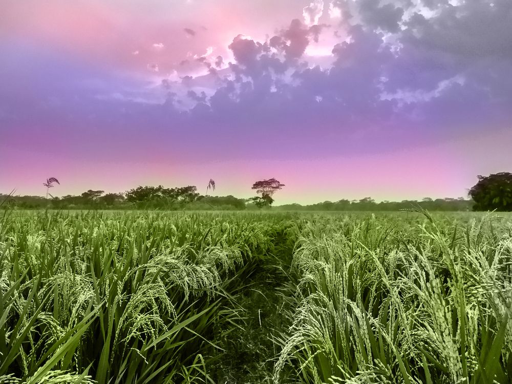 Photograph by Fyzullah Khan Shebly