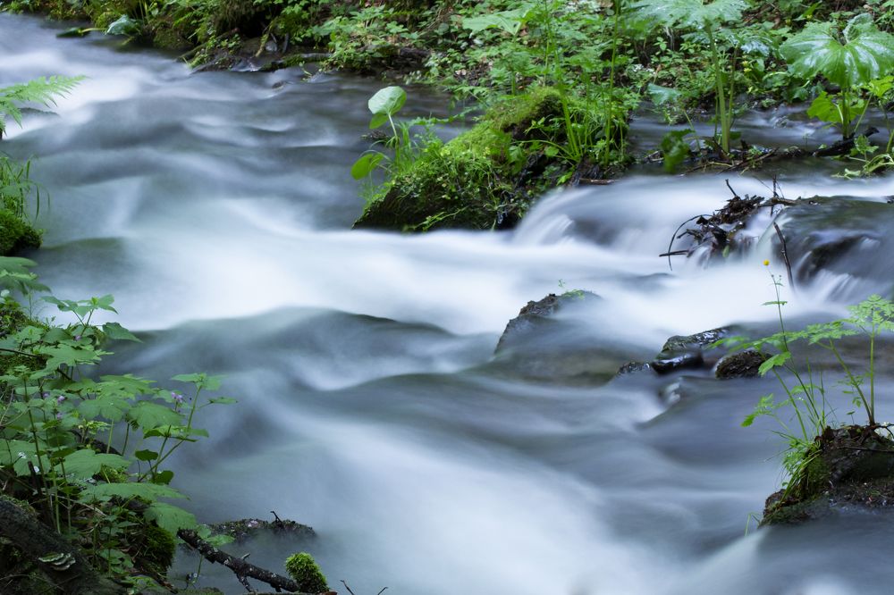 Photograph by Lucia Urblikova