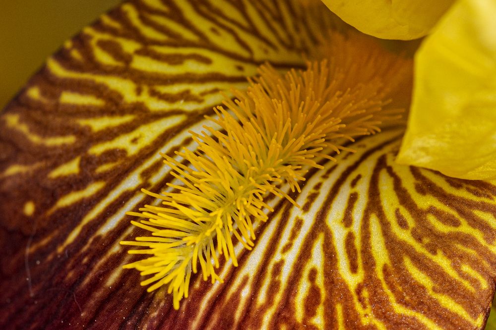 Photograph by Lucia Urblikova