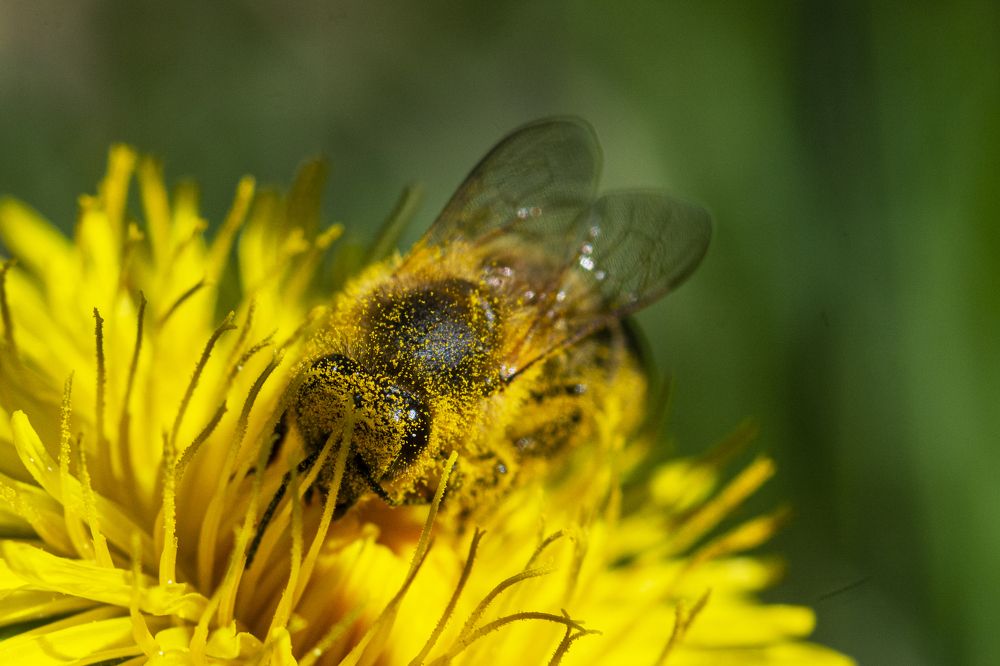 Photograph by Lucia Urblikova