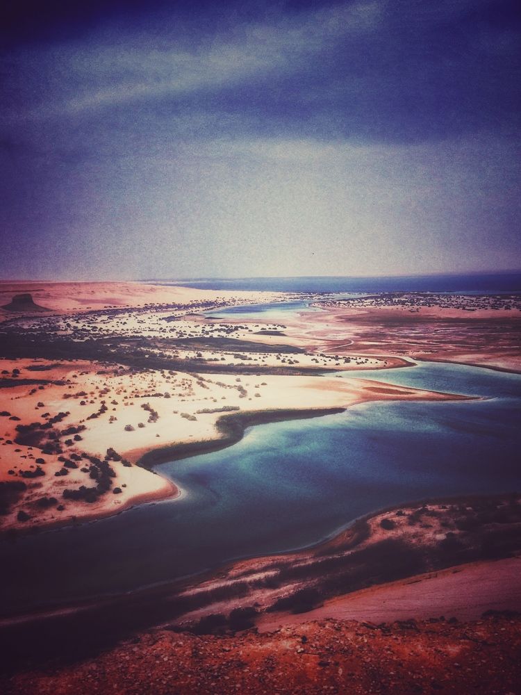 Photograph by Omar Khaled El Sayad