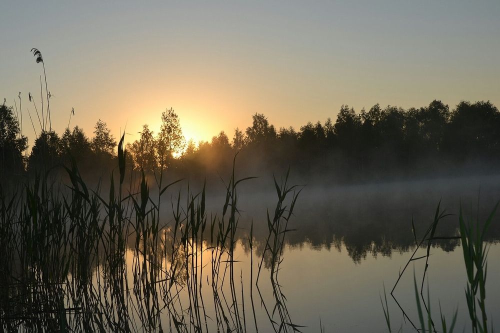 Photograph by Татьяна Адамович
