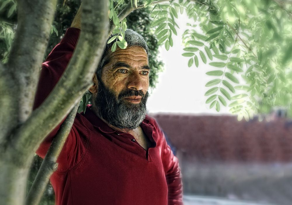 Photograph by Aleksandr Podva