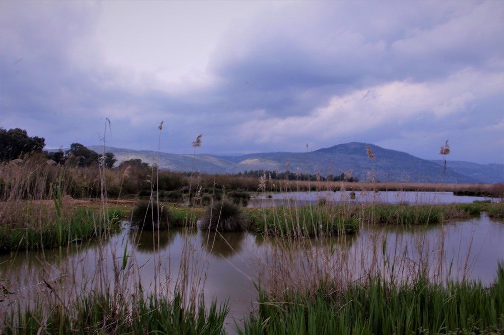 Photograph by Людмила Бутова