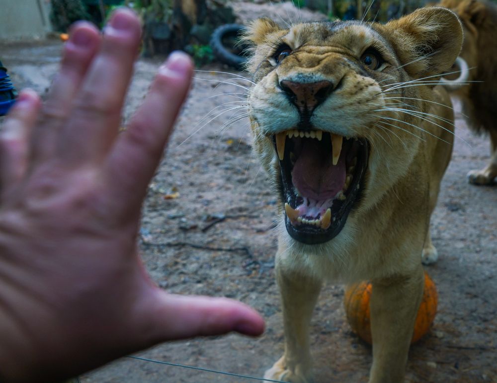 Photograph by Sergey Melkonov