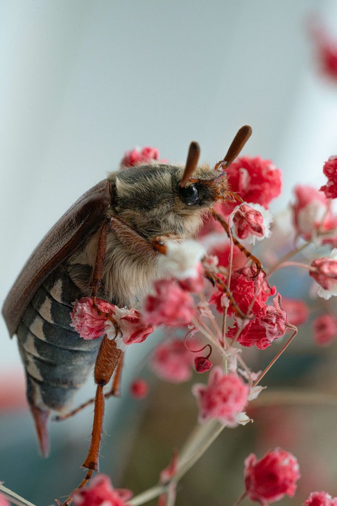 Photograph by Екатерина Аксёнова