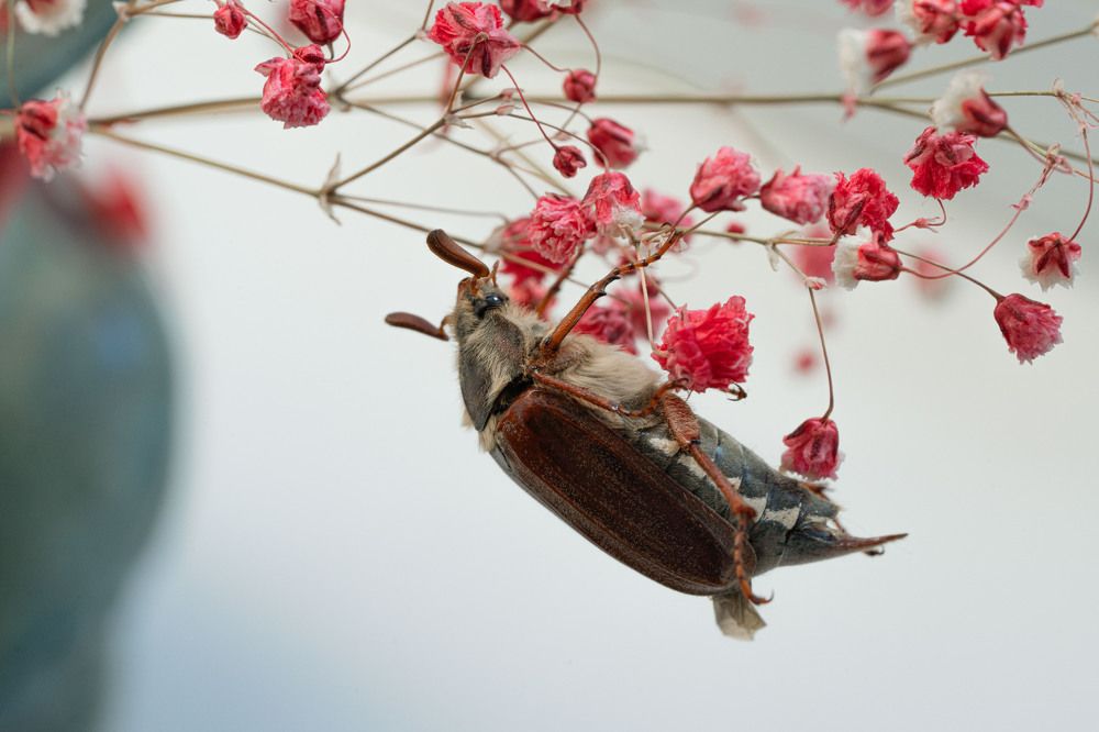 Photograph by Екатерина Аксёнова