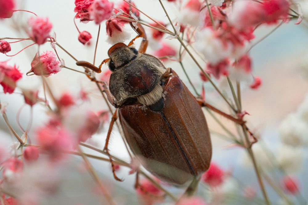Photograph by Екатерина Аксёнова