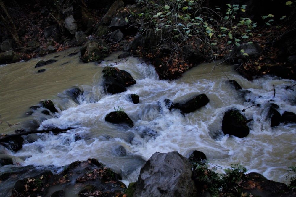 Photograph by Людмила Бутова