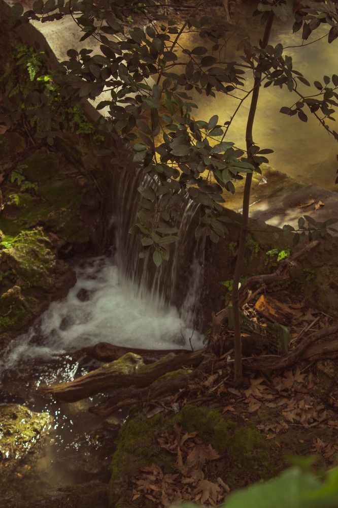 Photograph by Michael Chatzikyriakos