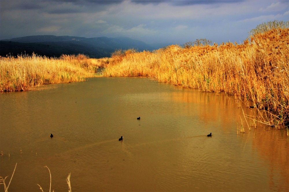 Photograph by Людмила Бутова