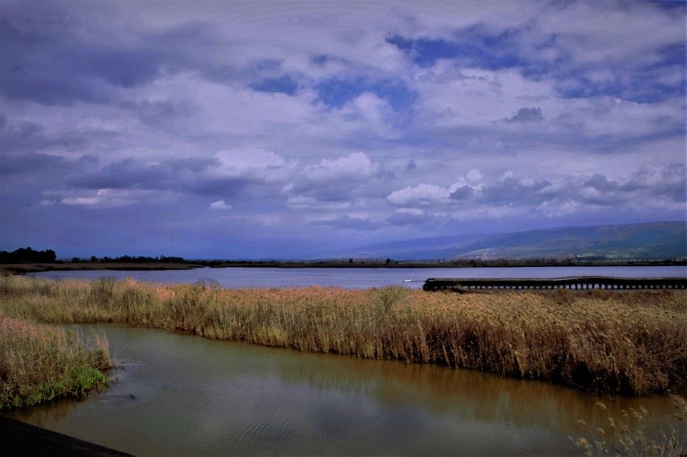 Photograph by Людмила Бутова