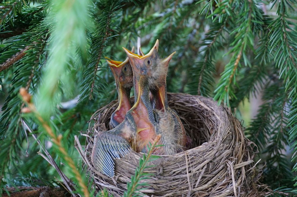 Photograph by Виктория Лаур