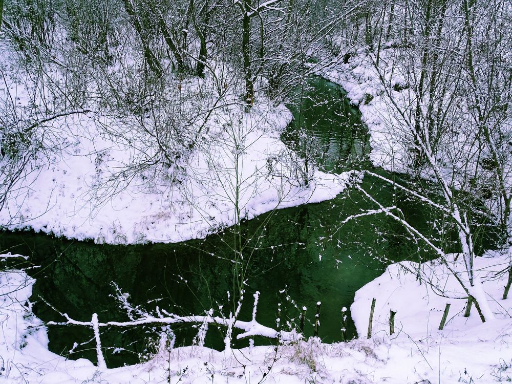 Фотография автора Remus Lucescu