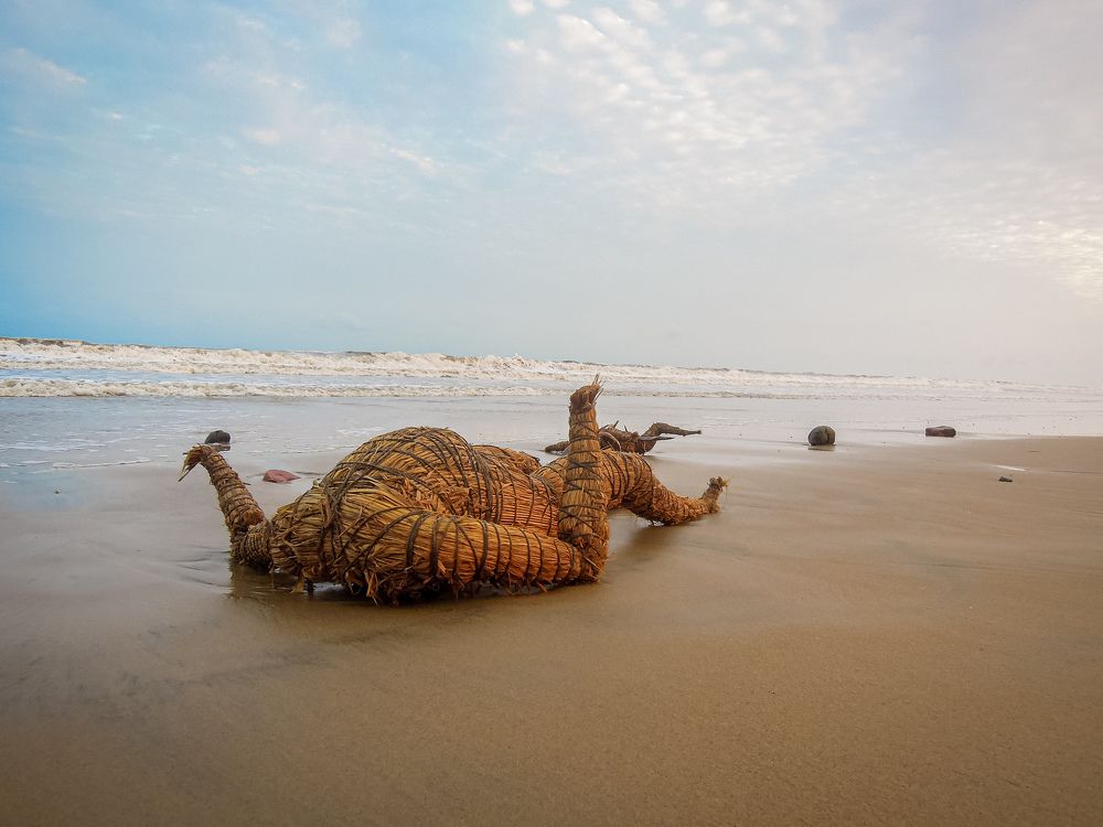 Photograph by Arpan Biswas