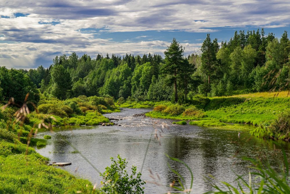 Photograph by Ольга Ситникова