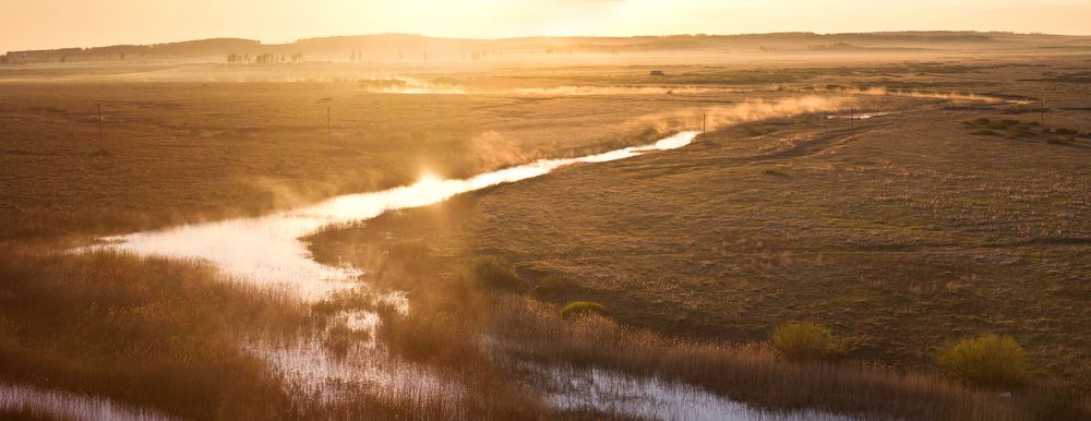 Photograph by Elvira Maksimova