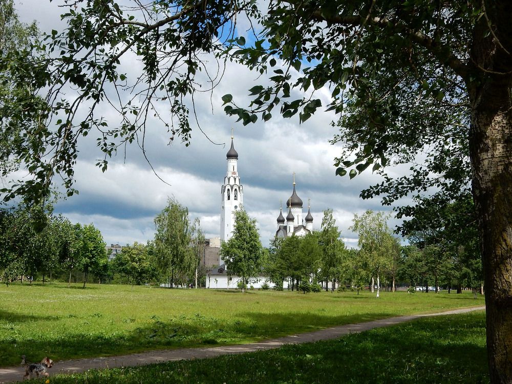 Photograph by Елена Гуляева