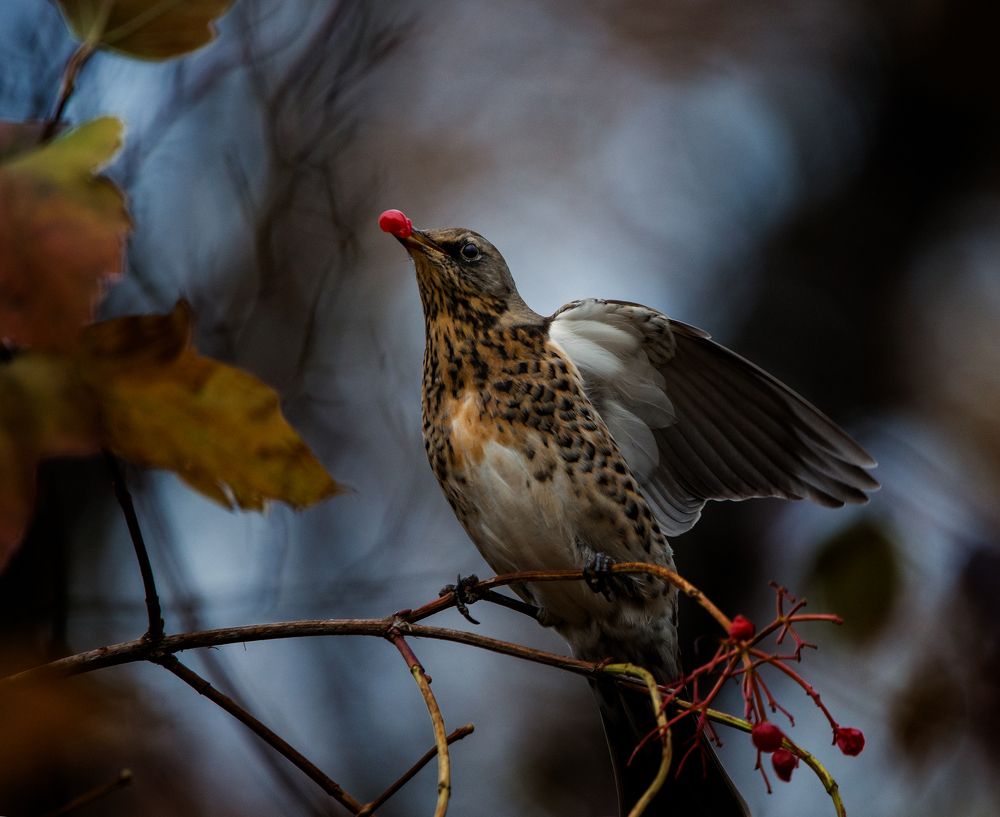 Photograph by Ольга Желтова