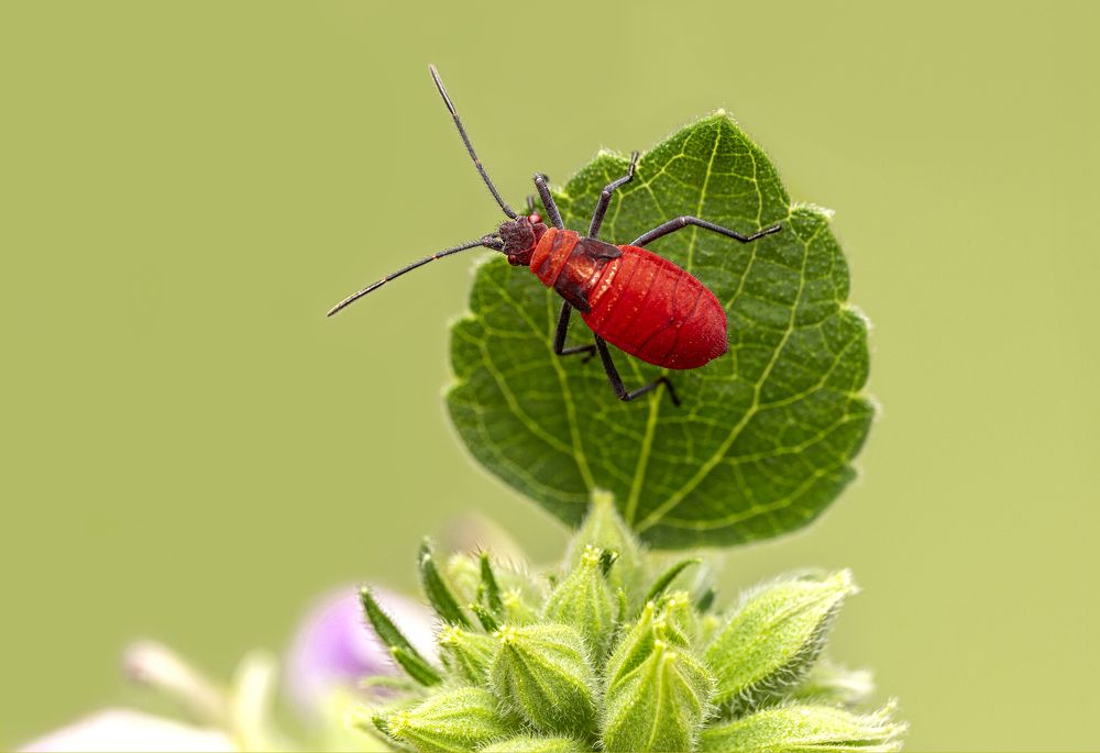 Photograph by Jasmine Tan