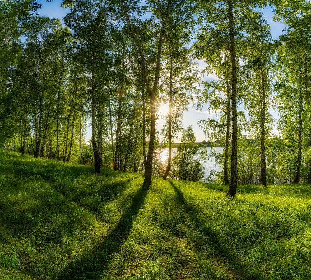 Photograph by Руслан Нигматуллин