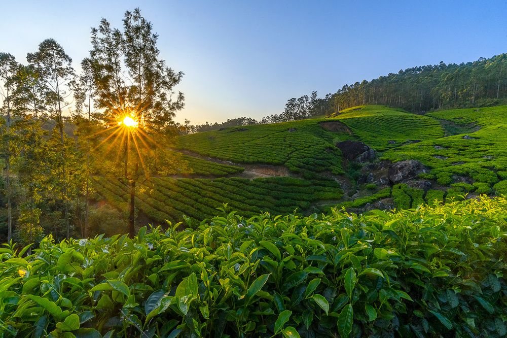 Фотография автора Saeed Khalid