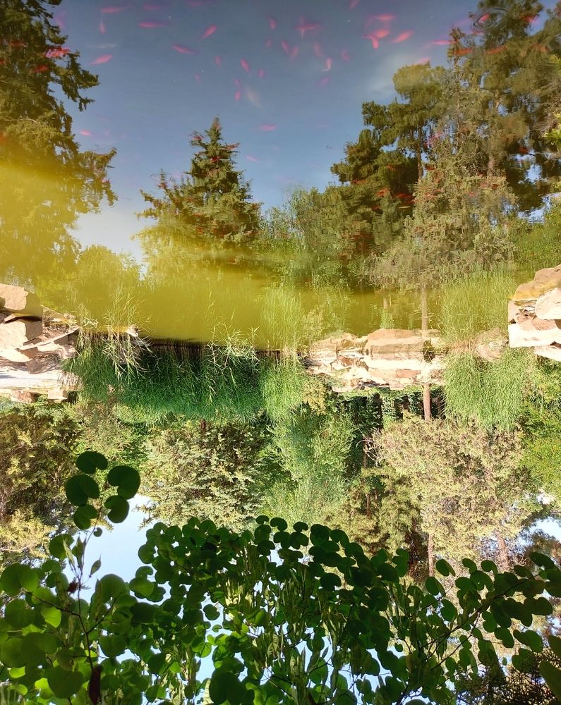 Photograph by  majid