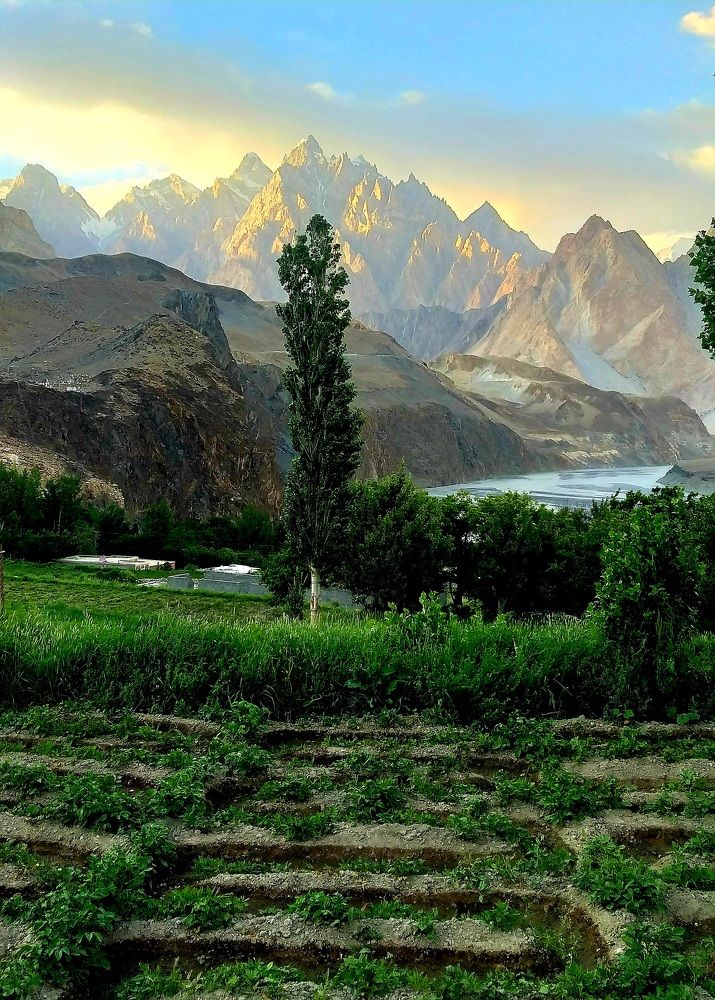 Passu cones