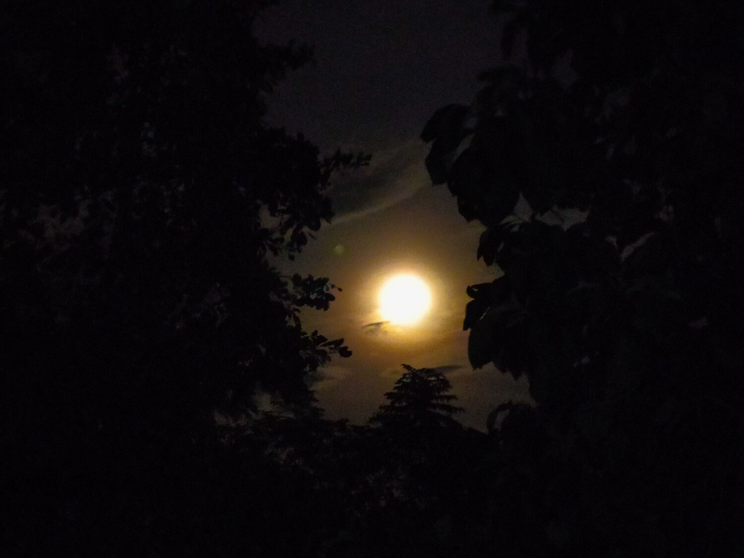 Photo #6224207