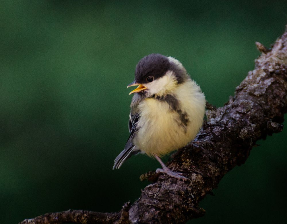 Photograph by Ольга Желтова