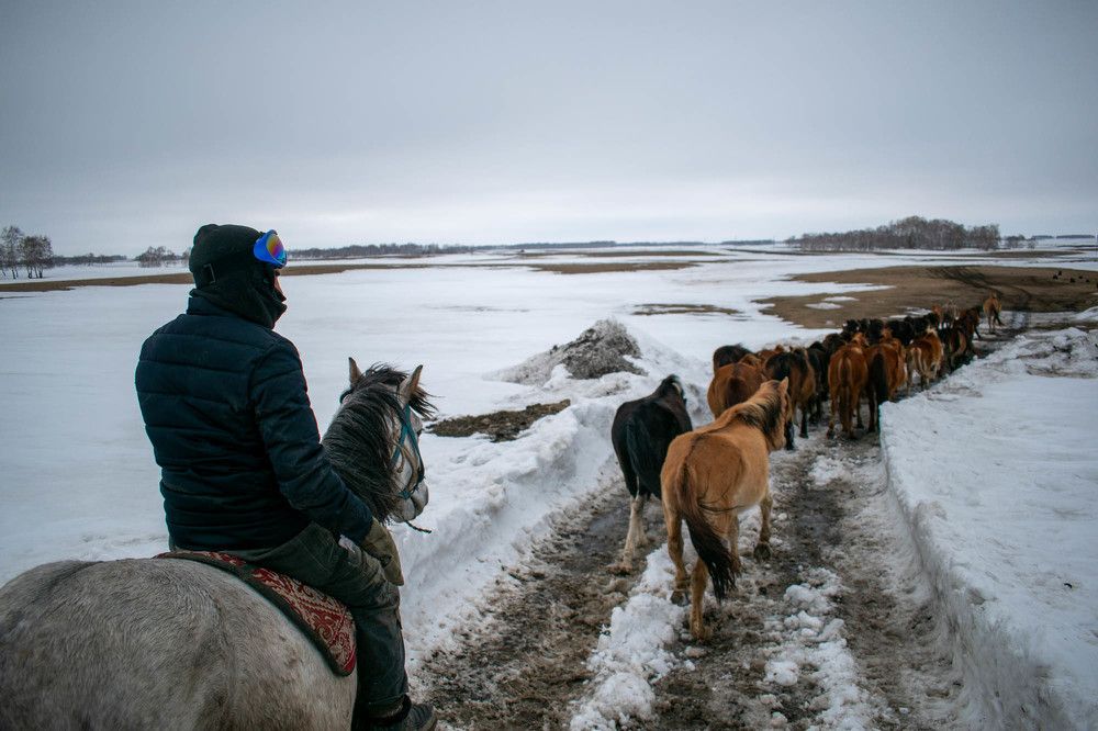 Фотография автора Рамазан Медеубеков