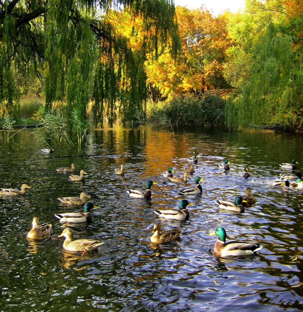 Photograph by Владимир Подкуйко