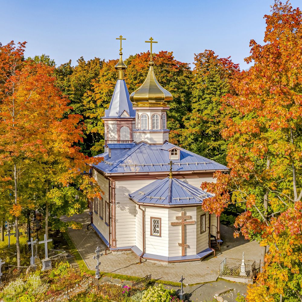 Осенние краски