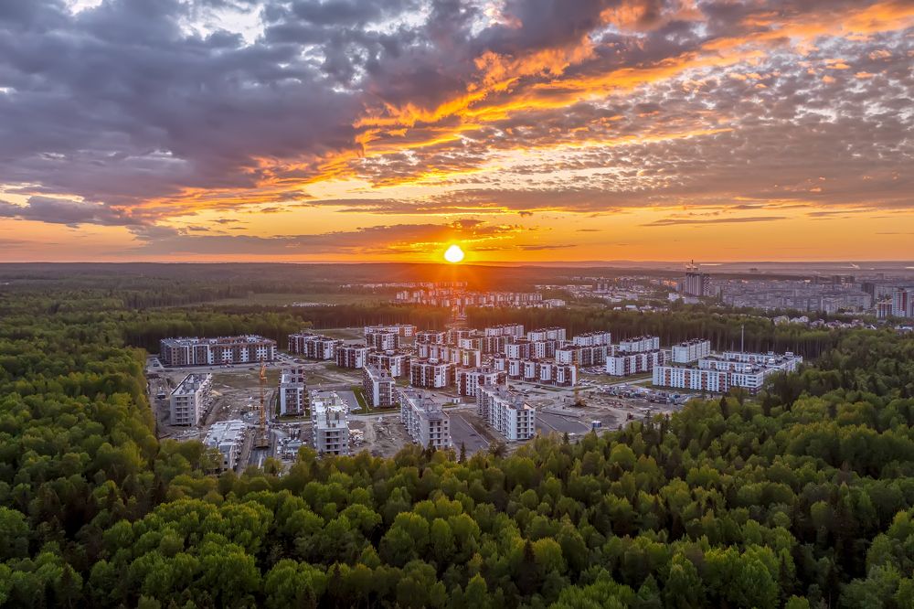 В окружении зелени