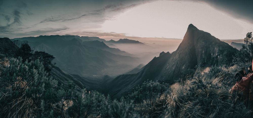 Dusky dawn landscape shot on mobile