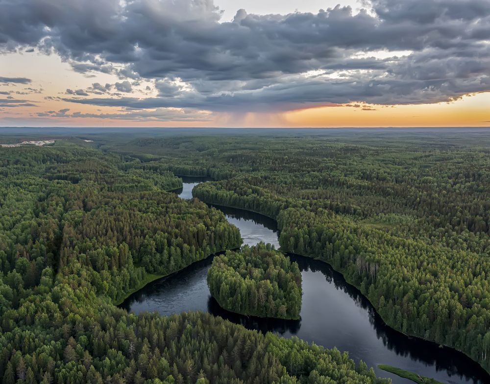 Поздняя граза