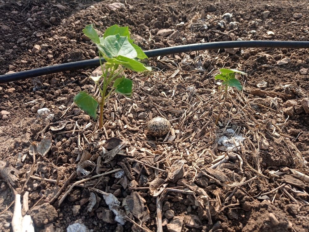 Photograph by Vinod Chavada