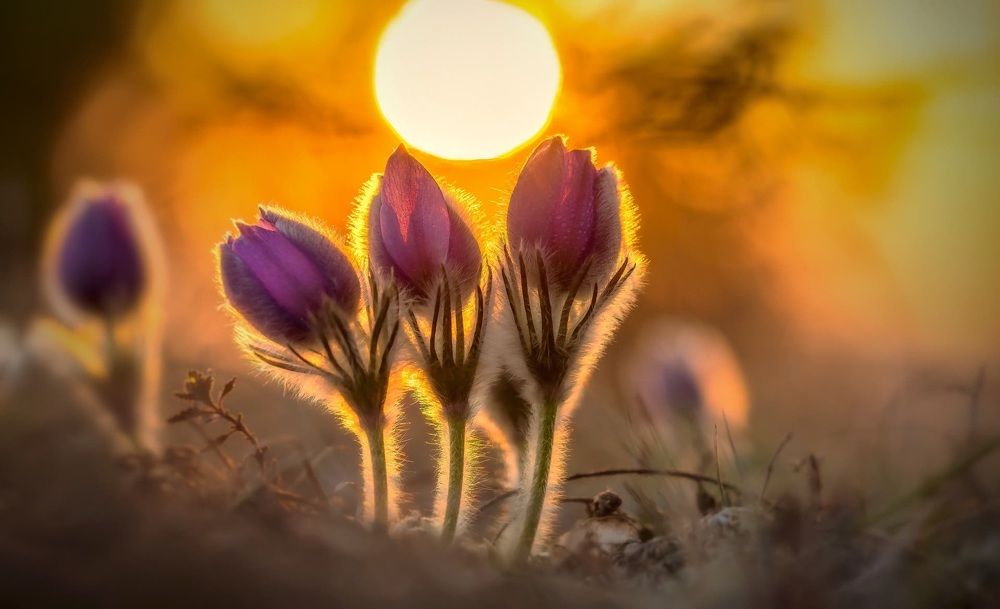 Photograph by Елена Каземирчук