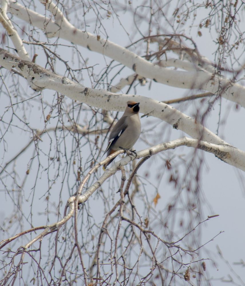 Фотография автора Артем Андрющенко