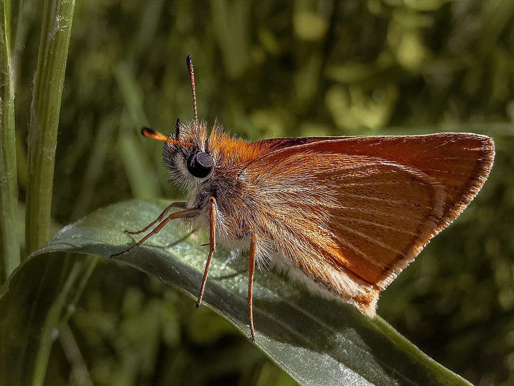 Photograph by Сергей Таранов