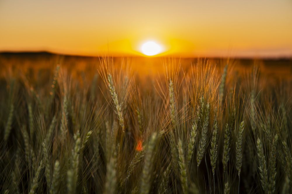 Photograph by Валерий Лейко