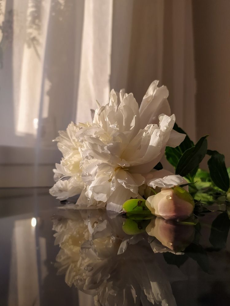 Photograph by Ирина Красильникова