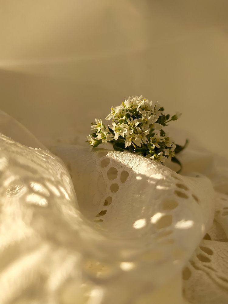 Photograph by Ирина Красильникова
