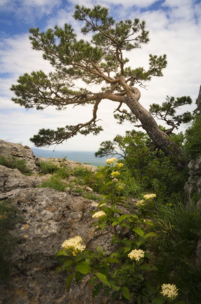 Photograph by Антон Литвин