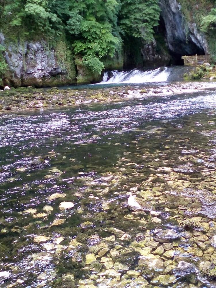 Photograph by Marijana Dragosavljevic