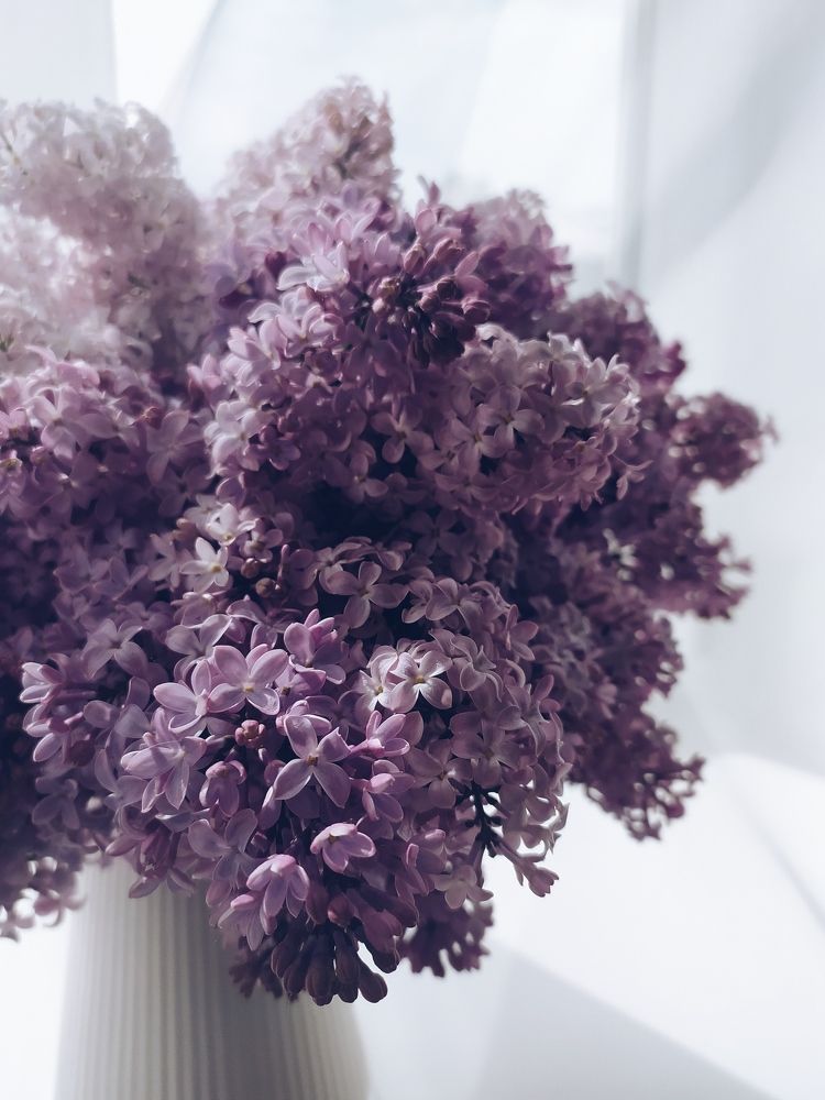 Photograph by Ирина Красильникова
